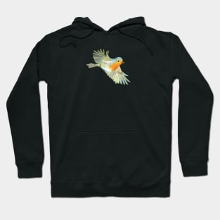 Little Robin Redbreast Flying Hoodie